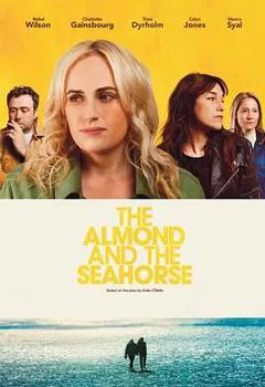 杏仁体与海马体