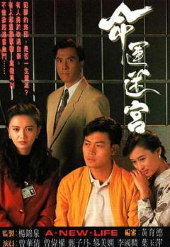 命运迷宫国语版