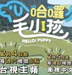 哈啰！毛小孩
