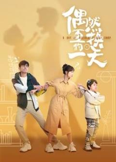 偶然互换的一天