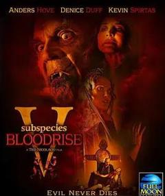 《亚种5：血起》