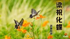 七大养心名曲欣赏『梁祝』……