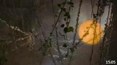 至今零差评的港产电影，堪称武侠剧的鬼斧神工，经典看不厌