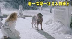 流浪狗疯狂的骚扰女人，当它扒开墓那一刻，女人明白它是谁