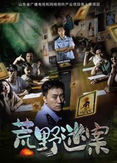 《荒野迷案》