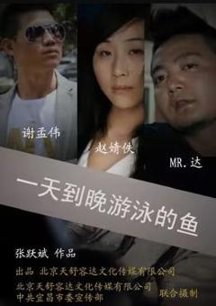 一天到晚游泳的鱼