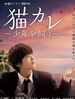 《我养了个少年》