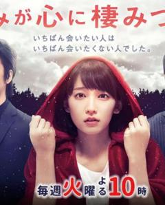 你已藏在我心底