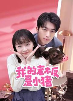 我的老板是小猪