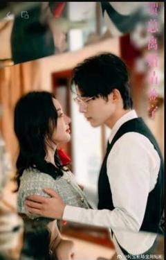 《贺总离婚请签字》