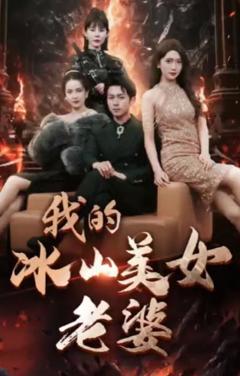 《我的冰山美女老婆》