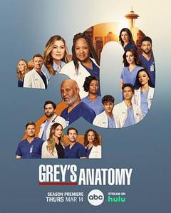 实习医生格蕾第二十季