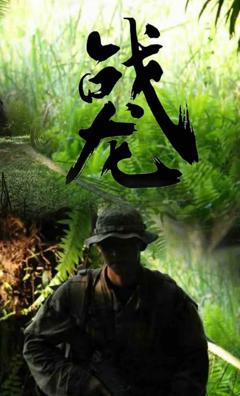 《战龙》