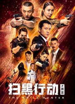 扫黑行动之黄金