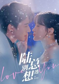 《陆总别想逃》