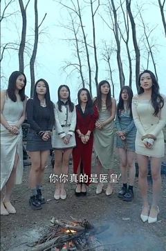 傲娇女总裁的医皇保镖