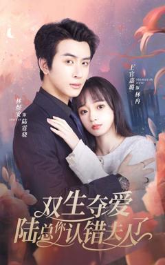 双生夺爱陆总你认错夫人了