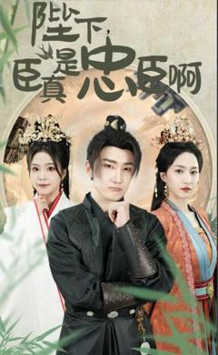 陛下，臣真是忠臣啊