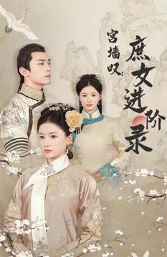 宫墙叹庶女进阶录