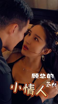 顾总的签约小情人