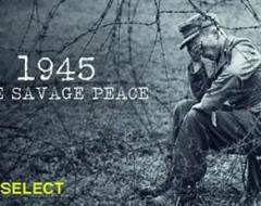 《1945：野蛮的和平》