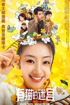 有猫的迷宫