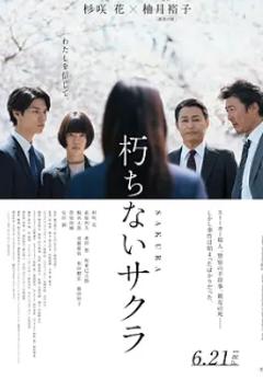 《不朽的樱花》