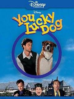 《幸运狗1998》