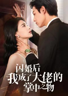 闪婚后我成了大佬的掌中之物啊