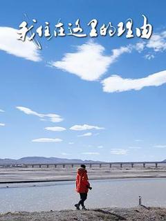 我住在这里的理由第五季