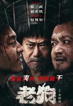 《老狗2025》