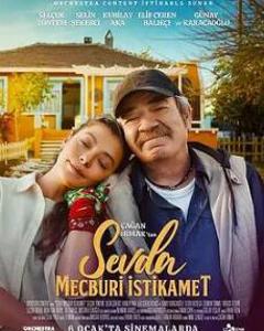 《爱的强制方向》