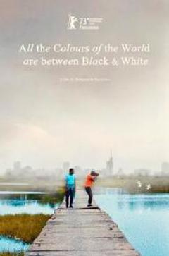 黑白之间是彩色世界