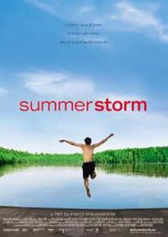 《夏日风暴2004》