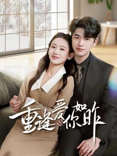 《重逢爱你如昨》