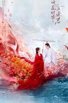 落花时节又逢君2025