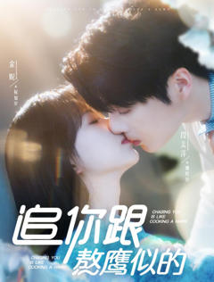 《追你跟熬鹰似的》