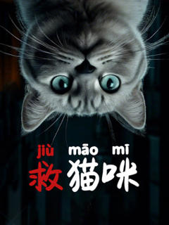 救猫咪