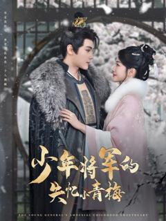 少年将军的失忆小青梅
