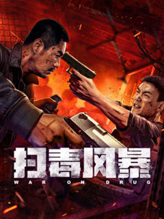 扫毒风暴2025：电影版