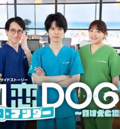 初恋UNDERDOGs～败犬与初恋～