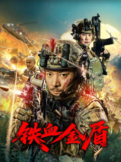 《铁血金盾》