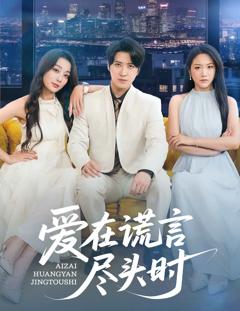 爱在谎言尽头时