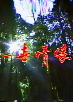 《一世情缘》