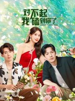 《对不起，我磕到你了》