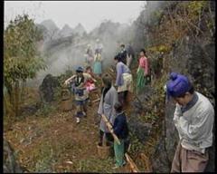 鱼公主红鲤公主