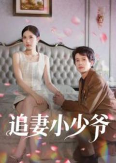 追妻小少爷