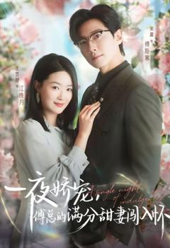 天才萌宝傅总宠妻超甜