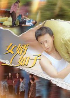 《女婿如子》