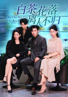 《白茶花落离人》